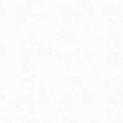 ヒメ日記 2025/02/05 06:30 投稿 ちさ★ 阿AUN呍(あうん)