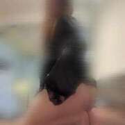 ヒメ日記 2025/09/20 06:30 投稿 ちさ★ 阿AUN呍(あうん)