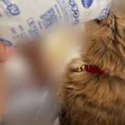 ヒメ日記 2025/10/06 06:45 投稿 ちさ★ 阿AUN呍(あうん)