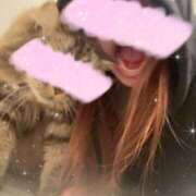 ヒメ日記 2025/11/28 06:45 投稿 ちさ★ 阿AUN呍(あうん)