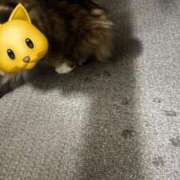 ヒメ日記 2026/02/08 07:01 投稿 ちさ★ 阿AUN呍(あうん)