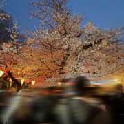 ヒメ日記 2026/04/05 06:45 投稿 ちさ★ 阿AUN呍(あうん)