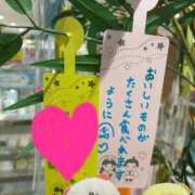 ヒメ日記 2025/06/22 20:23 投稿 ましろ 鶯谷デリヘル倶楽部