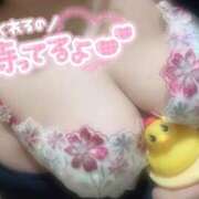 ヒメ日記 2025/10/20 17:42 投稿 ましろ 鶯谷デリヘル倶楽部