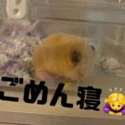 ヒメ日記 2026/05/04 09:22 投稿 ましろ 鶯谷デリヘル倶楽部