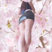 ヒメ日記 2026/04/25 11:20 投稿 あこ 逢って30秒で即尺