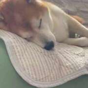 ヒメ日記 2024/12/29 12:23 投稿 星空（せいら） 名古屋痴女性感フェチ倶楽部