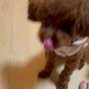 ヒメ日記 2025/04/15 12:53 投稿 星空（せいら） 名古屋痴女性感フェチ倶楽部