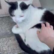 ヒメ日記 2025/05/10 19:17 投稿 星空（せいら） 名古屋痴女性感フェチ倶楽部