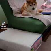 ヒメ日記 2025/05/18 05:17 投稿 星空（せいら） 名古屋痴女性感フェチ倶楽部