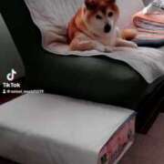 ヒメ日記 2025/06/05 15:34 投稿 星空（せいら） 名古屋痴女性感フェチ倶楽部