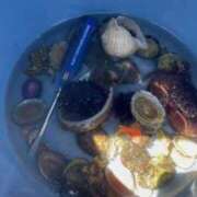 ヒメ日記 2025/07/25 22:21 投稿 星空（せいら） 名古屋痴女性感フェチ倶楽部