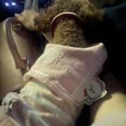 ヒメ日記 2025/07/30 22:19 投稿 星空（せいら） 名古屋痴女性感フェチ倶楽部