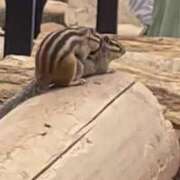 ヒメ日記 2025/08/22 18:07 投稿 星空（せいら） 名古屋痴女性感フェチ倶楽部