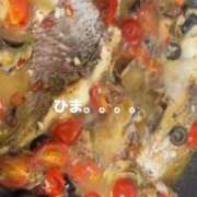 ヒメ日記 2025/09/19 12:10 投稿 星空（せいら） 名古屋痴女性感フェチ倶楽部