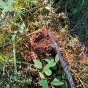 ヒメ日記 2025/10/13 15:57 投稿 星空（せいら） 名古屋痴女性感フェチ倶楽部