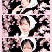 ヒメ日記 2026/04/19 16:39 投稿 星空（せいら） 名古屋痴女性感フェチ倶楽部