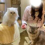 ヒメ日記 2026/06/25 22:35 投稿 星空（せいら） 名古屋痴女性感フェチ倶楽部