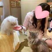 ヒメ日記 2026/07/14 18:44 投稿 星空（せいら） 名古屋痴女性感フェチ倶楽部