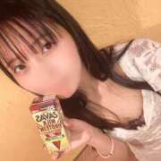 ヒメ日記 2024/12/14 10:22 投稿 つぼみ お姉京都