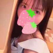 ヒメ日記 2025/02/27 05:54 投稿 つぼみ お姉京都