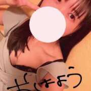 ヒメ日記 2025/03/29 06:15 投稿 つぼみ お姉京都