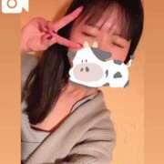 ヒメ日記 2025/04/01 06:09 投稿 つぼみ お姉京都