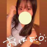 ヒメ日記 2025/04/07 06:27 投稿 つぼみ お姉京都