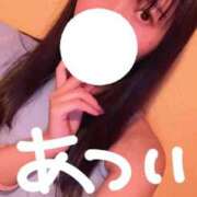 ヒメ日記 2025/05/20 17:03 投稿 つぼみ お姉京都