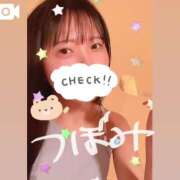 ヒメ日記 2025/06/05 07:27 投稿 つぼみ お姉京都