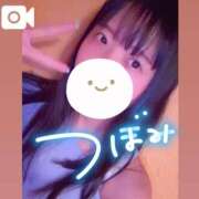 ヒメ日記 2025/07/16 07:23 投稿 つぼみ お姉京都