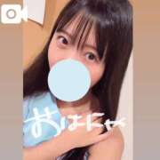 ヒメ日記 2025/07/19 06:08 投稿 つぼみ お姉京都