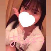 ヒメ日記 2025/11/27 05:59 投稿 つぼみ お姉京都