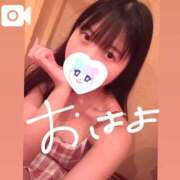 つぼみ 🐻🐶🐱🐹🐰🦊 お姉京都