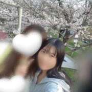 ヒメ日記 2026/04/09 05:12 投稿 つぼみ お姉京都