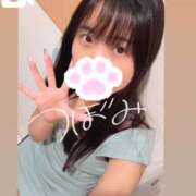 つぼみ 🐈‍⬛ お姉京都