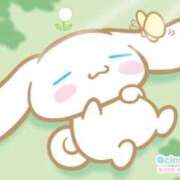 ヒメ日記 2026/05/02 16:42 投稿 つぼみ お姉京都