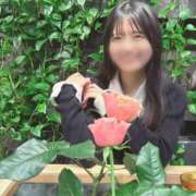 ヒメ日記 2026/05/26 06:22 投稿 つぼみ お姉京都