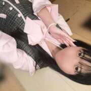 つぼみ 🐶 お姉京都