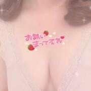 ヒメ日記 2025/08/11 09:50 投稿 ひとみ ニュー姫