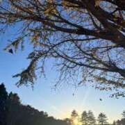 ヒメ日記 2024/12/12 10:44 投稿 ★七七五あゆむ★ CLUB39（クラブサンキュー）