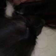 ヒメ日記 2024/12/22 16:07 投稿 ★七七五あゆむ★ CLUB39（クラブサンキュー）