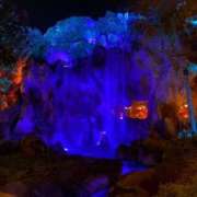 ヒメ日記 2024/12/29 11:42 投稿 ★七七五あゆむ★ CLUB39（クラブサンキュー）