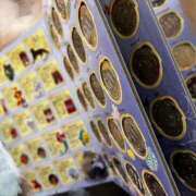 ヒメ日記 2025/04/04 09:02 投稿 ★七七五あゆむ★ CLUB39（クラブサンキュー）