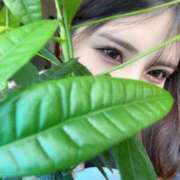 ヒメ日記 2025/06/13 10:42 投稿 ★七七五あゆむ★ CLUB39（クラブサンキュー）