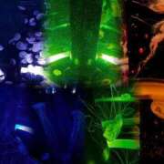 ヒメ日記 2025/07/21 22:36 投稿 ★七七五あゆむ★ CLUB39（クラブサンキュー）