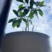 ヒメ日記 2025/09/29 11:45 投稿 ★七七五あゆむ★ CLUB39（クラブサンキュー）