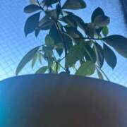 ★七七五あゆむ★ 1年で1番👼🏻🩵 CLUB39（クラブサンキュー）