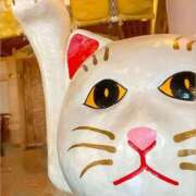 ヒメ日記 2025/10/10 12:46 投稿 今井さき 五十路マダム 岐阜店