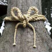 ヒメ日記 2025/12/26 08:18 投稿 今井さき 五十路マダム 岐阜店